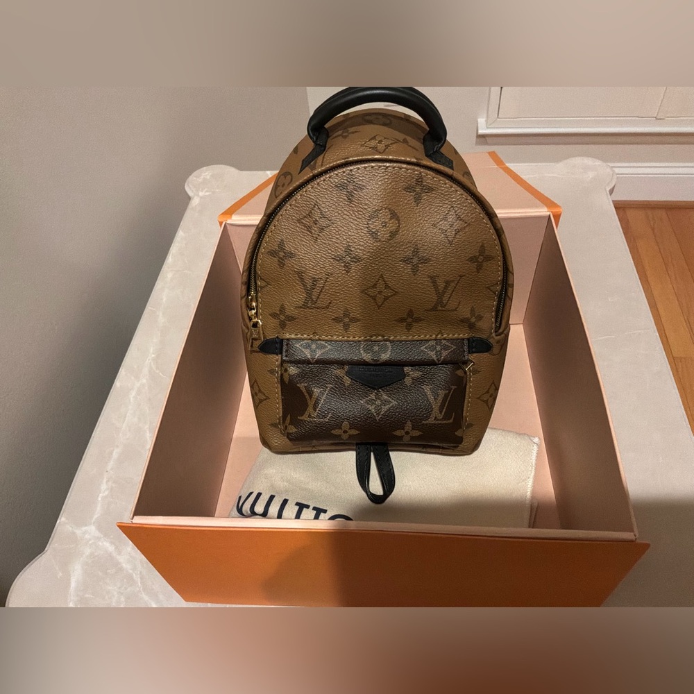 LOUIS VUITTON REVERSE MONOG PALM SPRINGS MINI - Picture 5 of 10